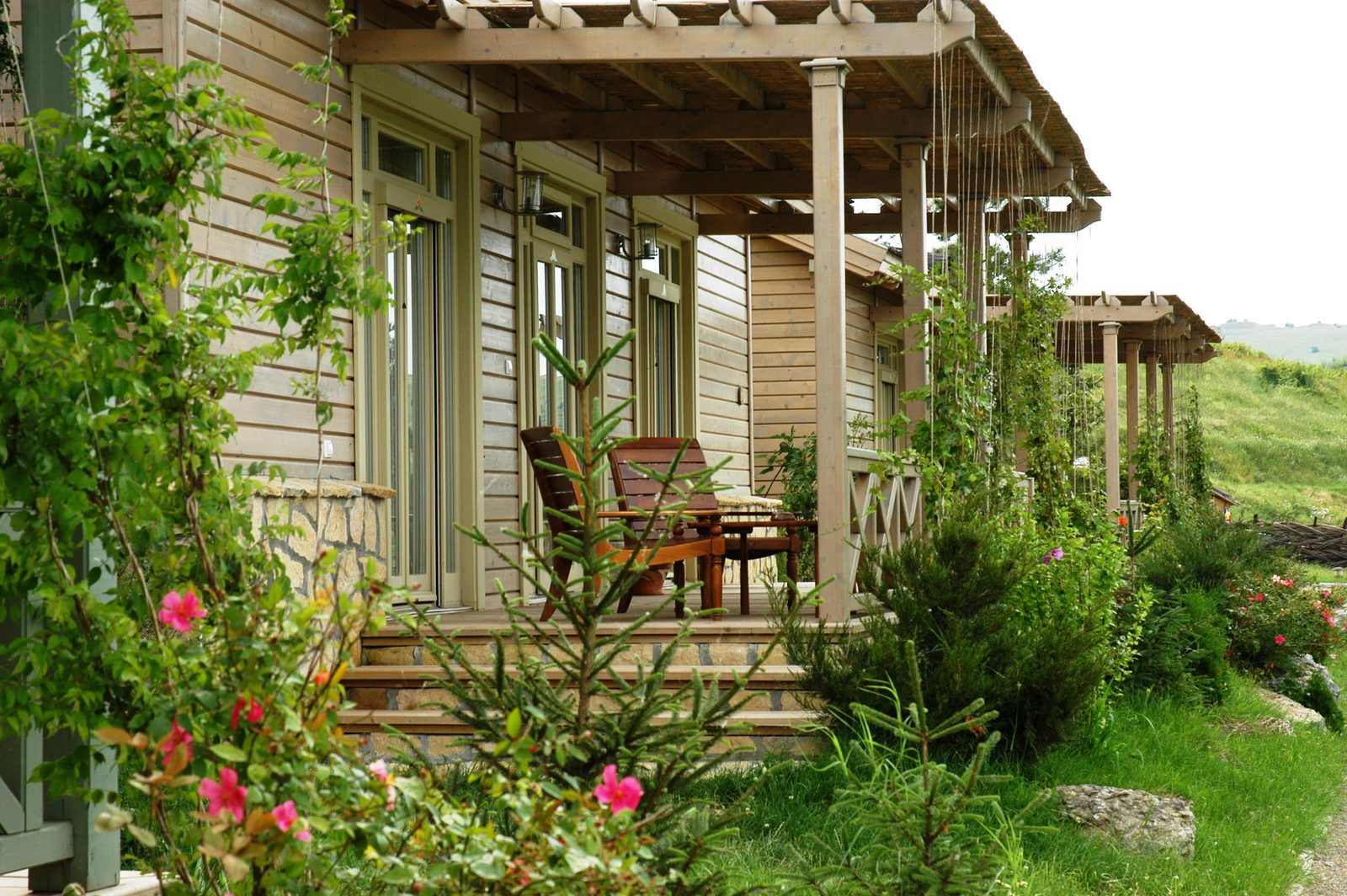 Veranda unei căsuțe, cu pergola și trandafirii